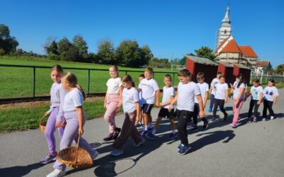 Projekt: Ljekovite biljke zavičaja