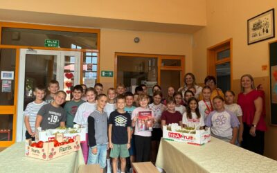 POSTALI SMO PARTNERSKA ŠKOLA U PROJEKTU „KAUFLAND ŠKOLA VOĆA I POVRĆA“!